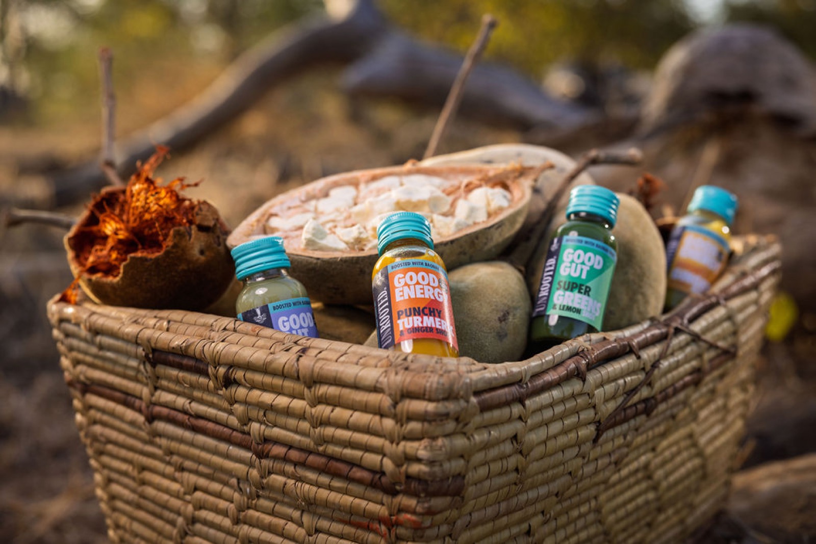 UNROOTED shot bottles in a woven basket beside a halved baobab fruit, in the field where the baobab is harvested.